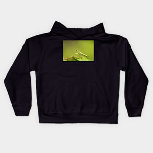 Mantis Kids Hoodie